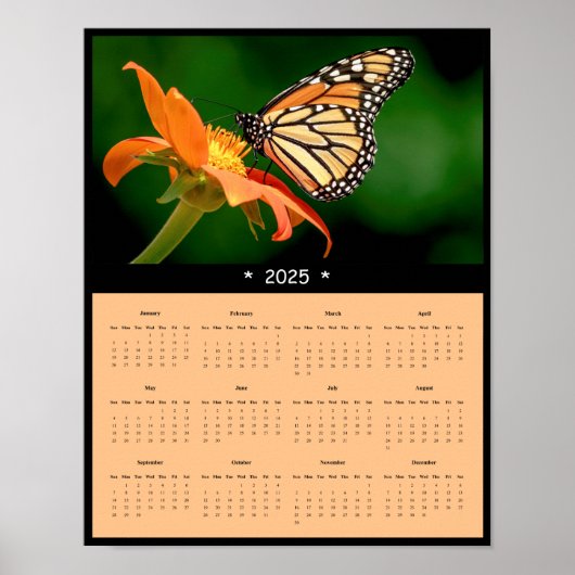 2025 Monarch Butterfly Wall Calendar Poster (Voorkant)