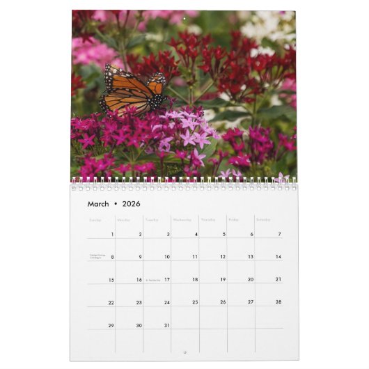 2025 Monarch vlinders kalender (Mar 2026)