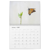 2025 Monarch vlinders kalender (Jan 2027)