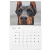 2025 Mooie Dobermans Kalender (Feb 2026)