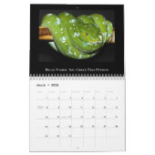 2025 Morelia Python Radio Kalender (Mar 2026)