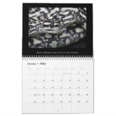 2025 Morelia Python Radio Kalender (Jan 2026)