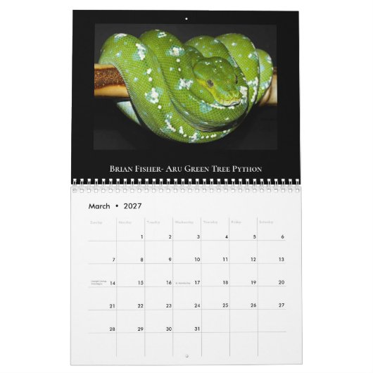 2025 Morelia Python Radio Kalender (Mar 2027)