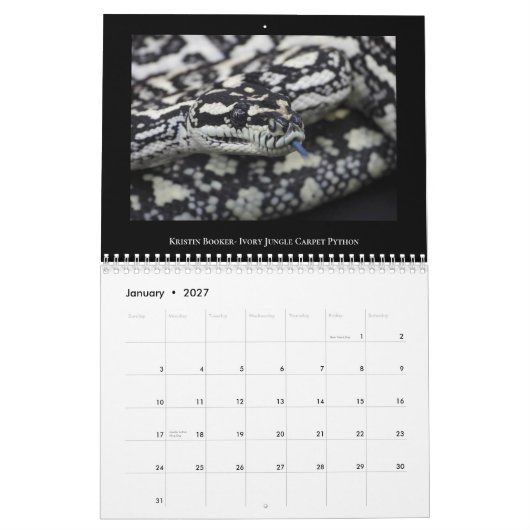 2025 Morelia Python Radio Kalender (Jan 2027)