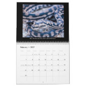 2025 Morelia Python Radio Kalender (Feb 2027)