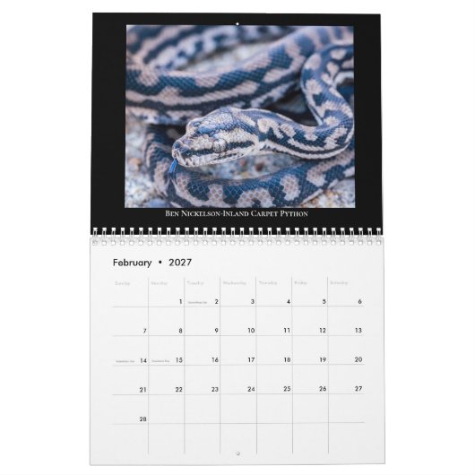 2025 Morelia Python Radio Kalender (Feb 2027)