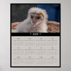 2025 Onrijpe Barn Owl Muurkalender Poster