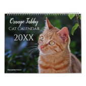 2025 Oranje Tabby Katten en Kittens Kalender Schat (Hoes)