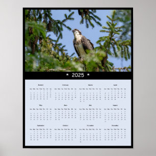 2025 Osprey Wandkalender Poster