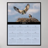 2025 Osprey Wandkalender Poster (Voorkant)