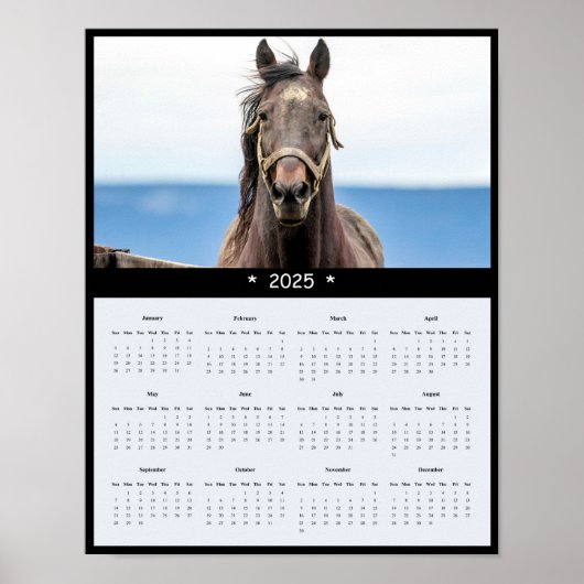 2025 Paard Muurkalender Poster (Voorkant)