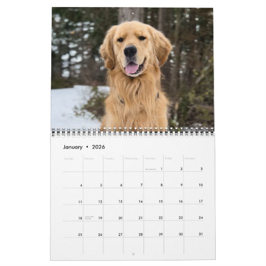 2025 ParkerPup Kalender ... met Gill & Walter (Jan 2026)