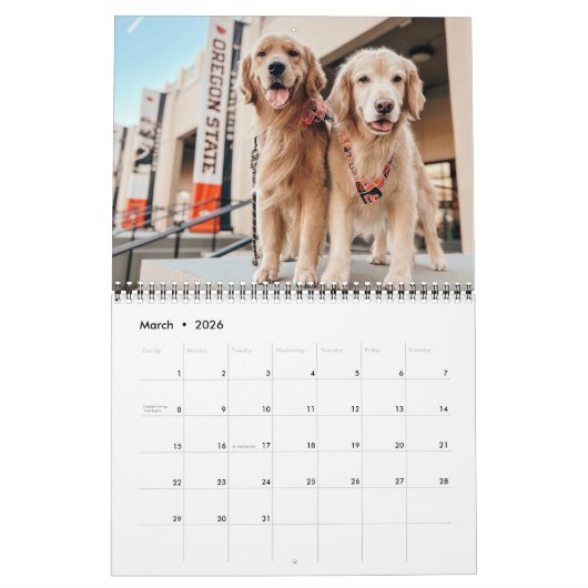 2025 ParkerPup Kalender ... met Gill & Walter (Mar 2026)