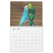 2025 Parrot Kalender (Mar 2026)
