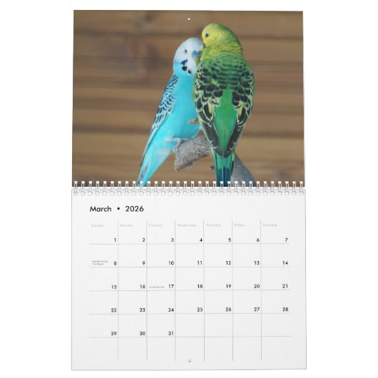 2025 Parrot Kalender (Mar 2026)