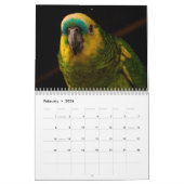 2025 Parrot Kalender (Feb 2026)