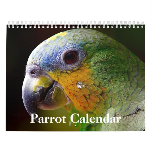 2025 Parrot Kalender (Hoes)