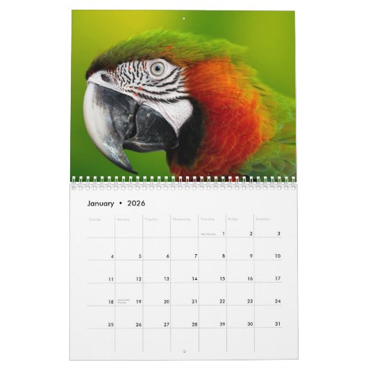 2025 Parrot Kalender (Jan 2026)