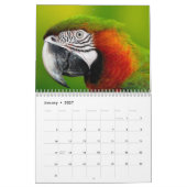 2025 Parrot Kalender (Jan 2027)