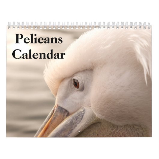 2025 Pelikanen Vogelkalender Kalender (Hoes)