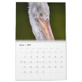 2025 Pelikanen Vogelkalender Kalender (Mar 2027)