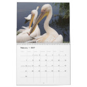 2025 Pelikanen Vogelkalender Kalender (Feb 2027)