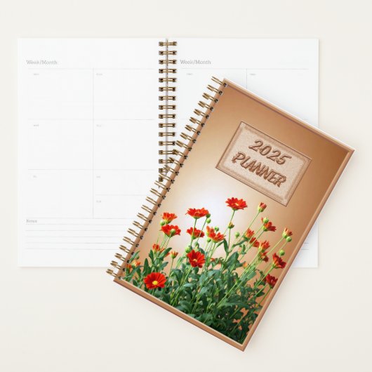 2025 PLANNER (Display)