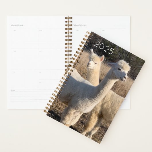 2025 Planner - Alpacas Abby & Bailey (Display)