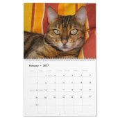 2025 Prachtige Bengaalse katten Kalender (Feb 2027)