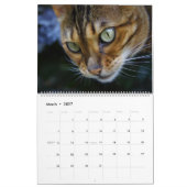 2025 Prachtige Bengaalse katten Kalender (Mar 2027)