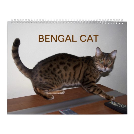 2025 Prachtige Bengaalse katten Kalender (Hoes)