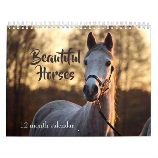2025 Prachtige paarden Kalender (Hoes)