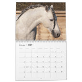 2025 Prachtige paarden Kalender (Jan 2027)
