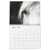 2025 Prachtige paarden Kalender (Feb 2027)