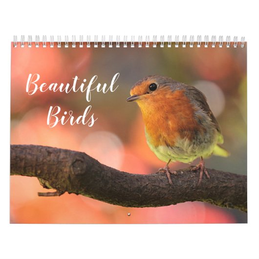 2025 prachtige vogels kalender (Hoes)