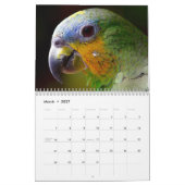 2025 prachtige vogels kalender (Mar 2027)