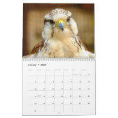 2025 prachtige vogels kalender (Jan 2027)