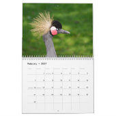 2025 prachtige vogels kalender (Feb 2027)