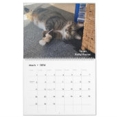 2025 Precious Paws Kalender (Mar 2026)