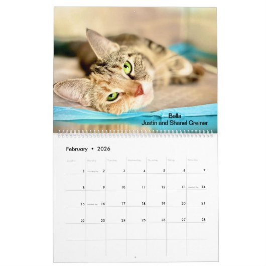 2025 Precious Paws Kalender (Feb 2026)