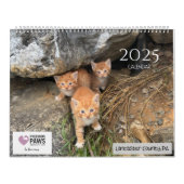 2025 Precious Paws Kalender (Hoes)