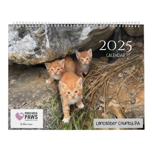 2025 Precious Paws Kalender (Hoes)