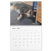 2025 Precious Paws Kalender (Mar 2027)