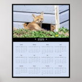 2025 Red Fox Kit Muurkalender Poster (Voorkant)