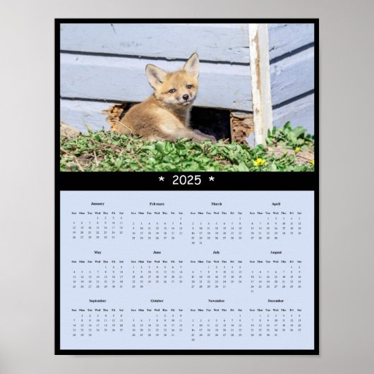2025 Red Fox Kit Muurkalender Poster (Voorkant)