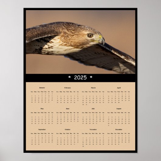 2025 Red Tailed Hawk Wandkalender Poster (Voorkant)