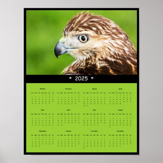 2025 Red-Tailed Hawk Wandkalender Poster (Voorkant)