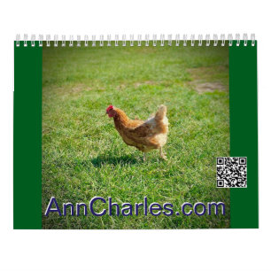 2025 Reizen met Ann Charles wandkalender Kalender