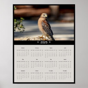 2025 Rood Schouderblad Hawk Wandkalender Poster