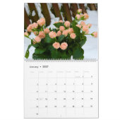 2025 Rozen Kalender Wand Bloemen (Jan 2027)
